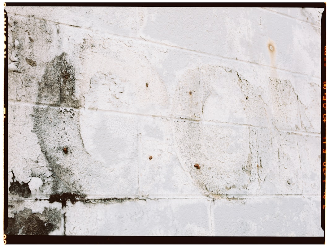 Basement Water Removal service in Bayonne, NJ